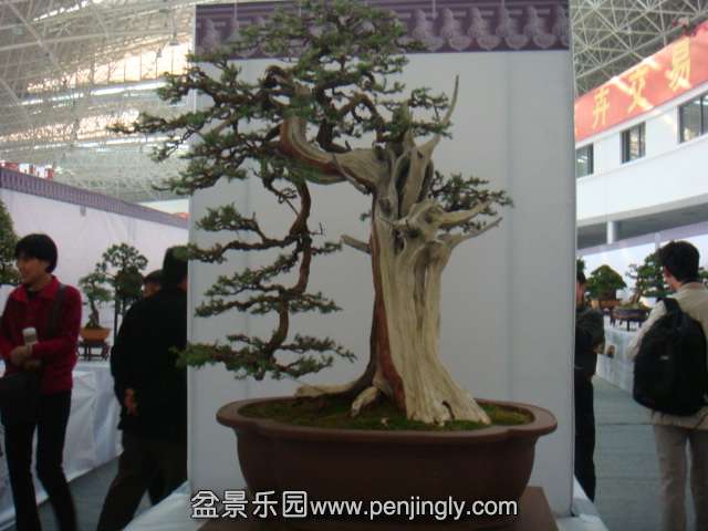 DSC08967.JPG