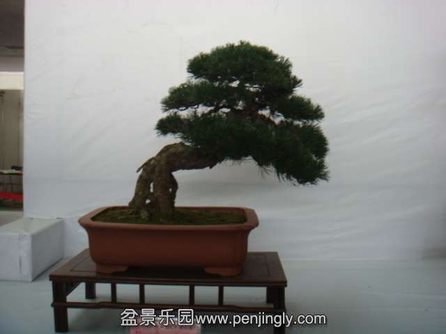 DSC08976.JPG