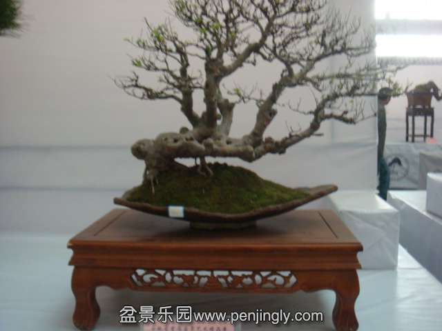 DSC08980.JPG