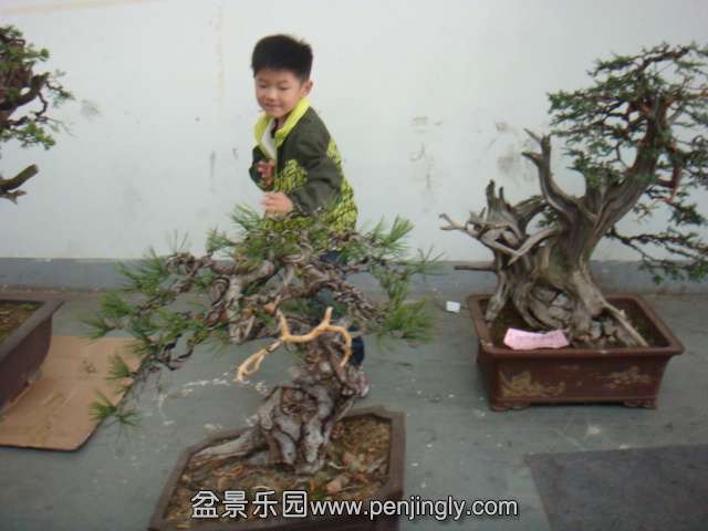 DSC08987.JPG
