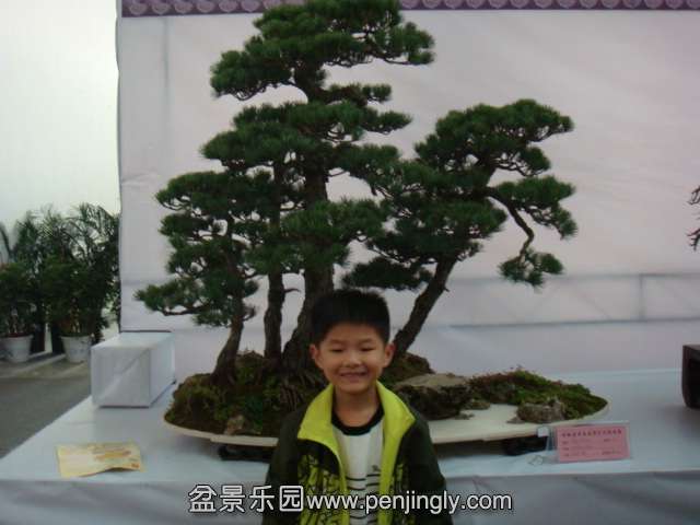 DSC08989.JPG