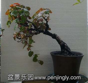 201310301420.jpg