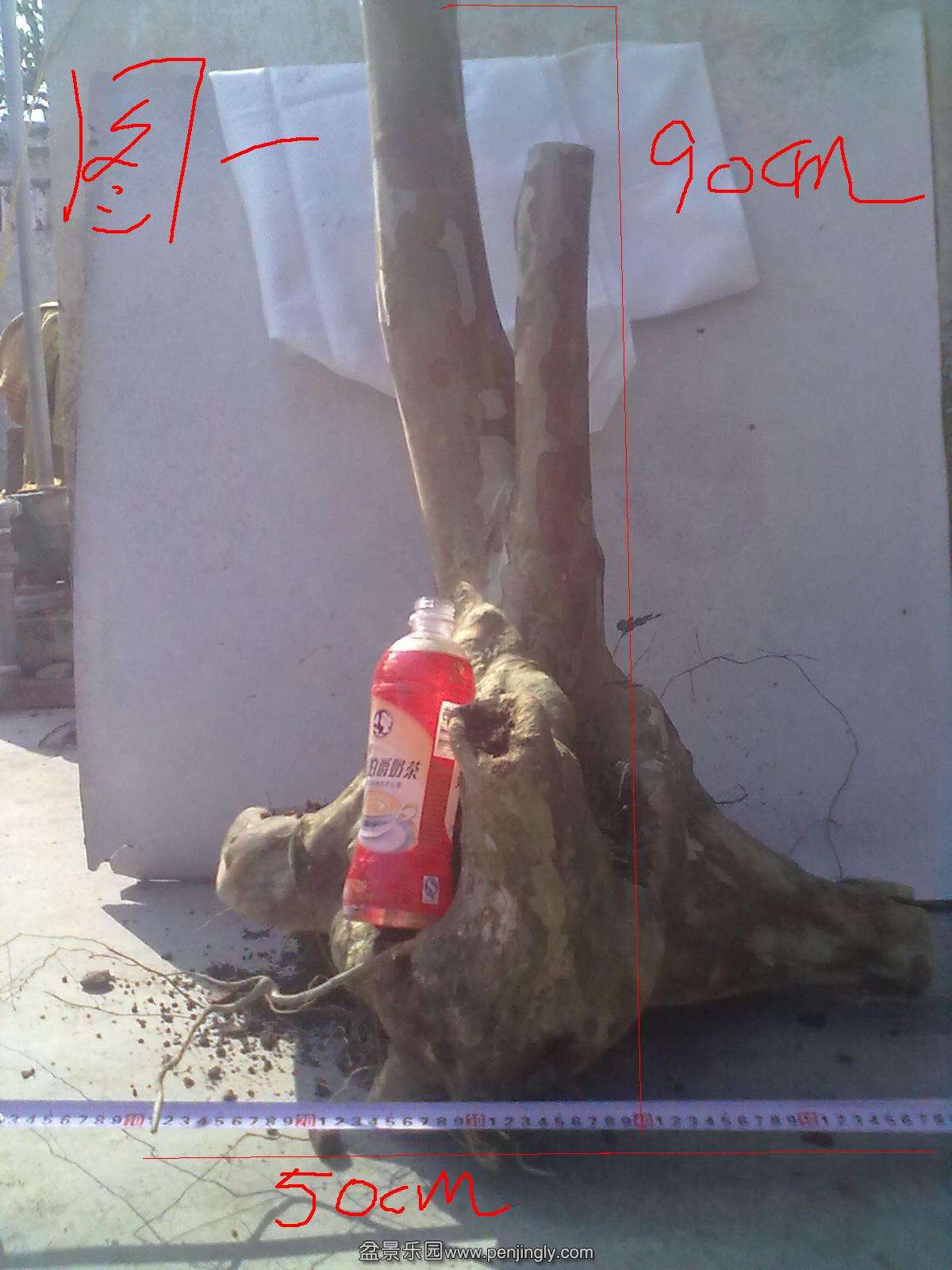 20131031061.jpg