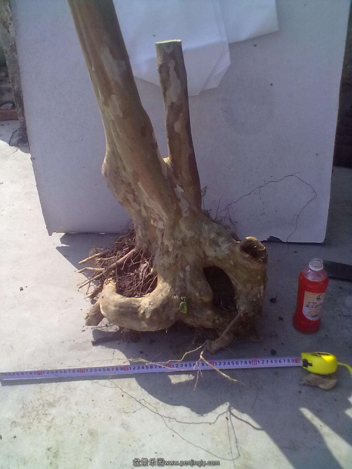20131031055.jpg
