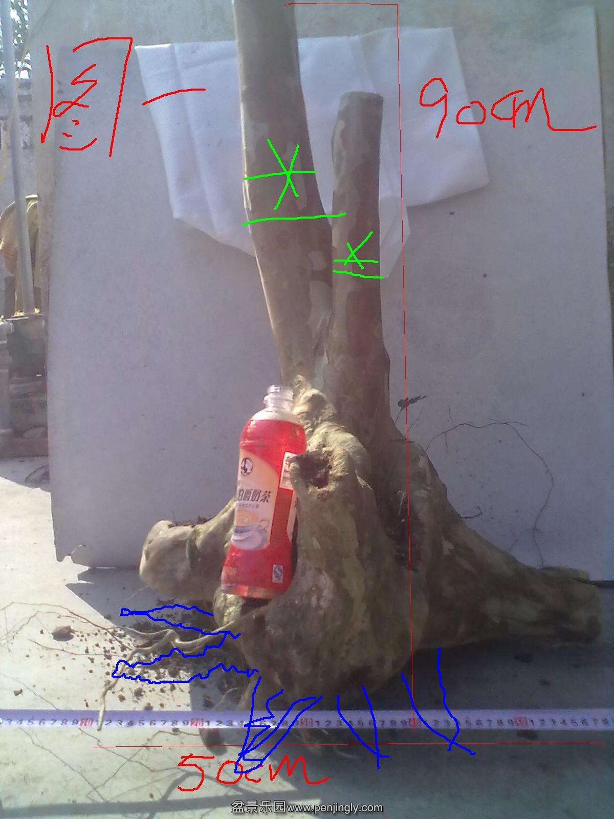 20131031061.jpg