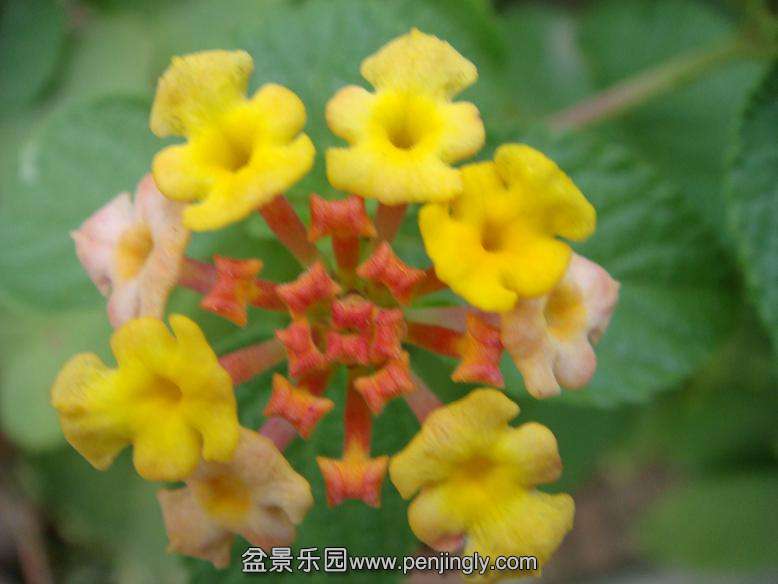 DSC05556.JPG
