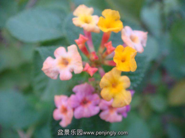DSC05560.JPG