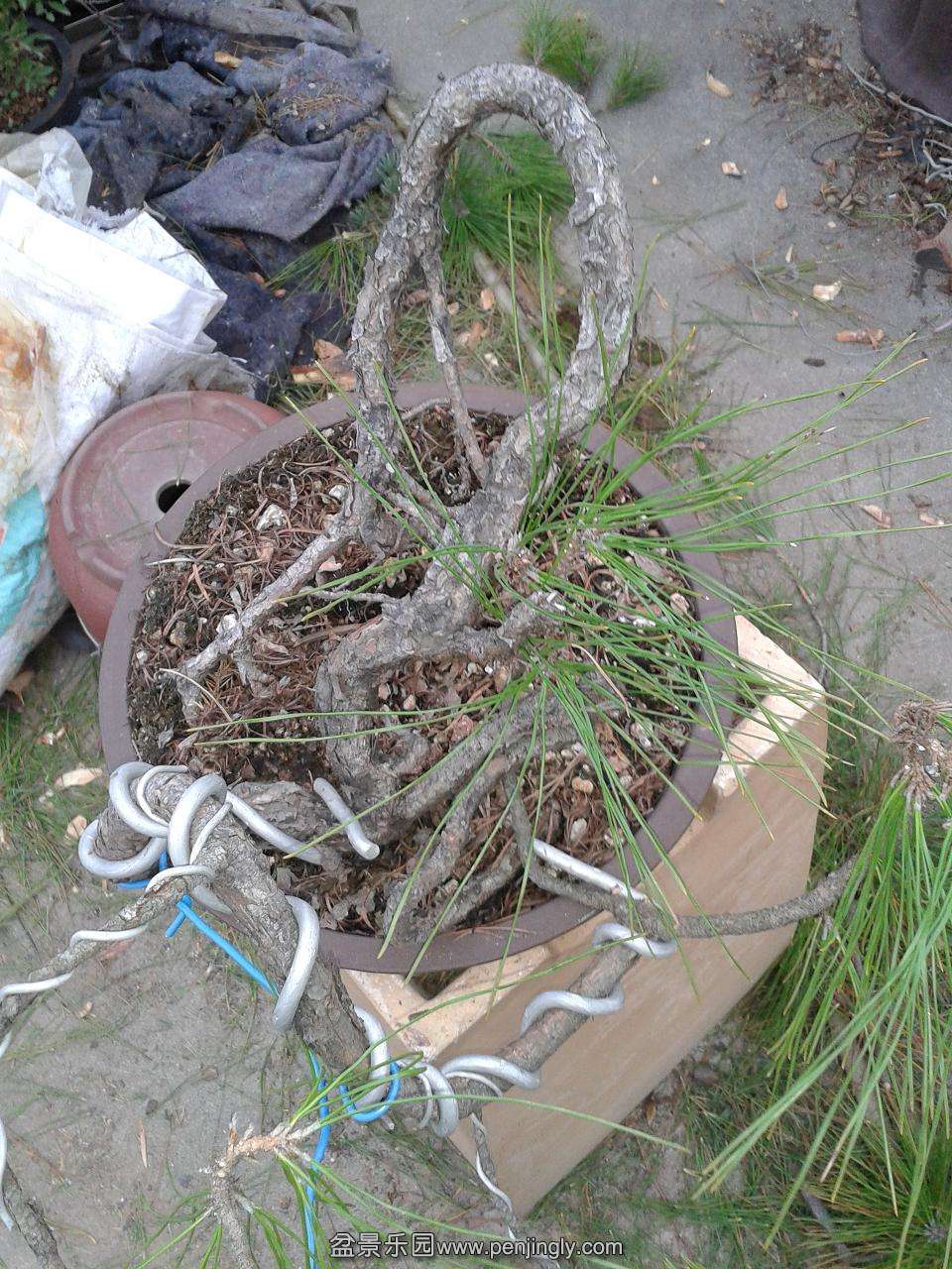 ���ϲ�����