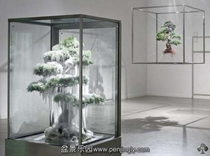 05-makoto-azuma-bonsai-art.jpg