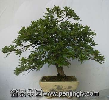 201310271409.jpg