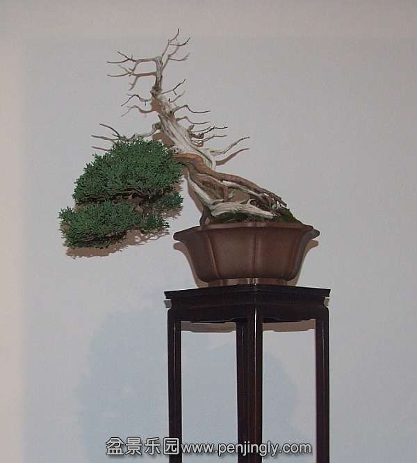 Noelanders Trophy XIII 2012 18c.jpg