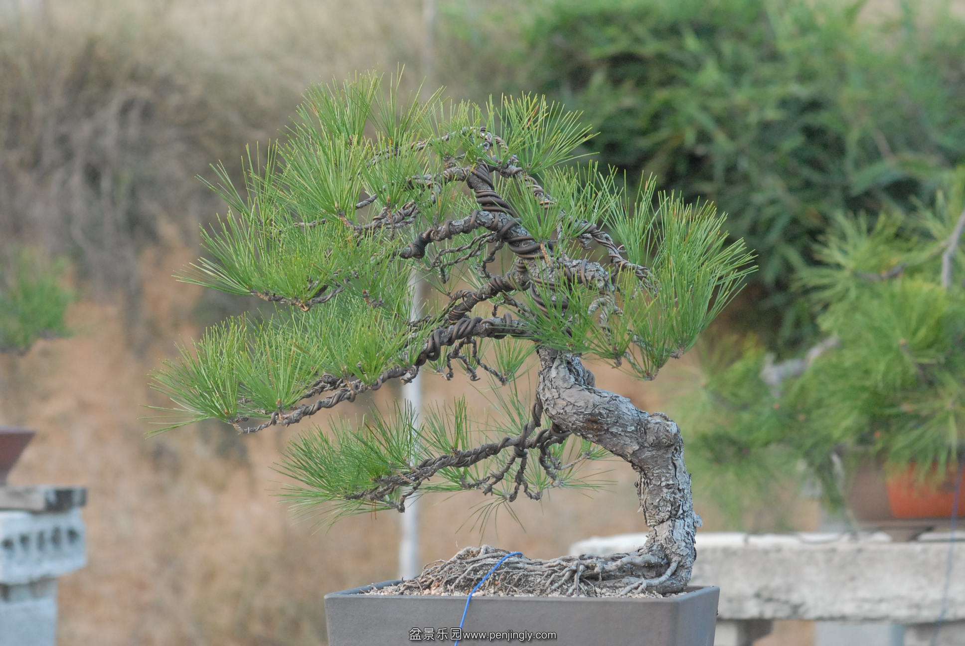 2013����յ�״̬