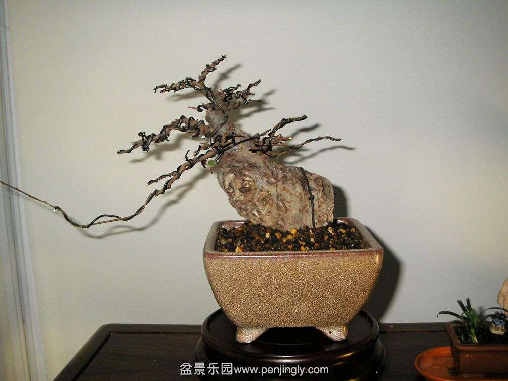 PB045554.JPG