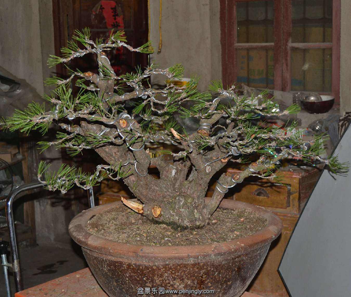 13-11-05���ɣ���ˣ� 001.jpg