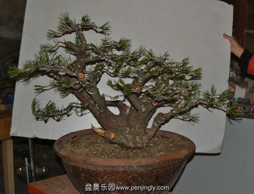 13-11-05���ɣ���ˣ� 002.jpg