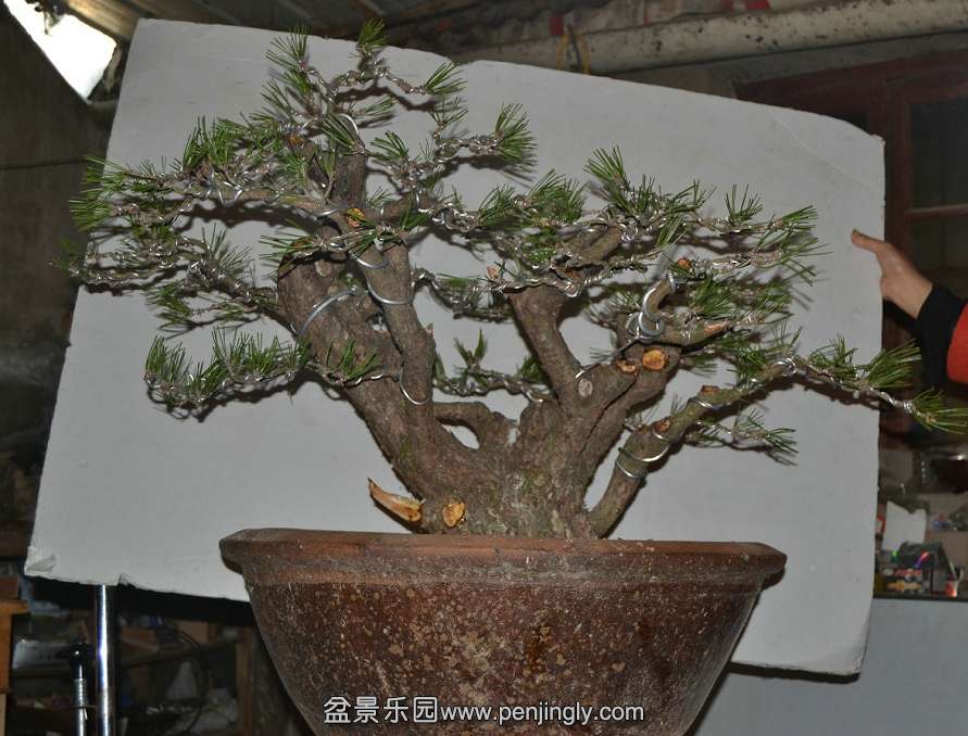 13-11-05���ɣ���ˣ� 003.jpg