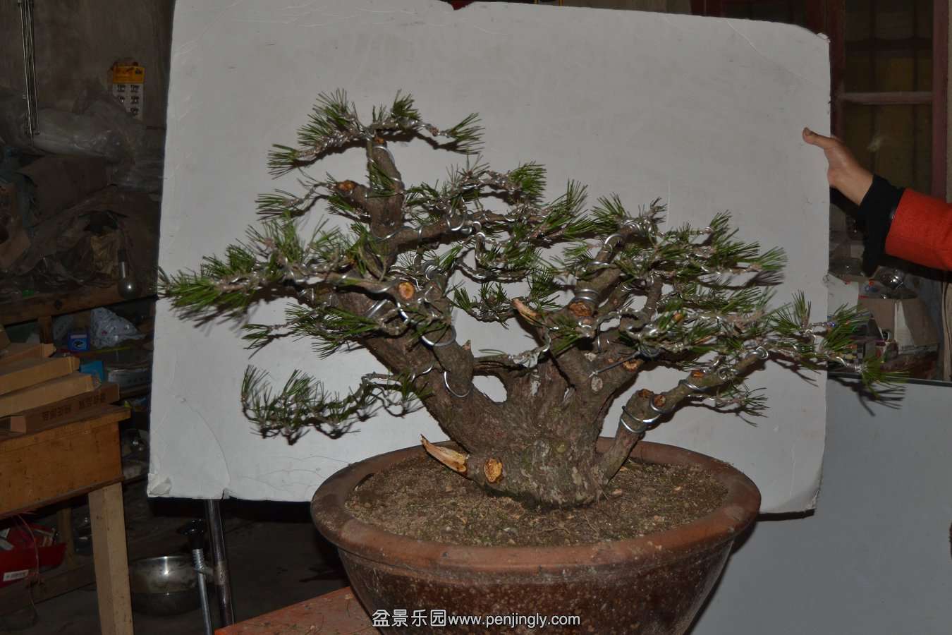 13-11-05���ɣ���ˣ� 004.jpg