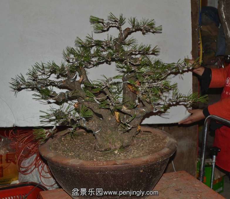 13-11-05���ɣ���ˣ� 005.jpg