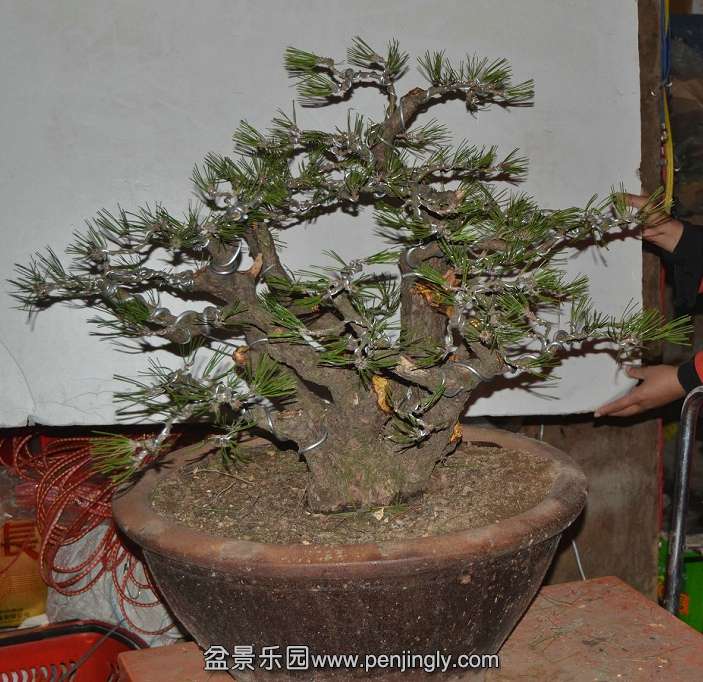 13-11-05���ɣ���ˣ� 006.jpg