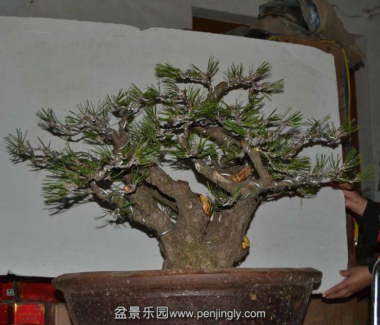 13-11-05���ɣ���ˣ� 007.jpg