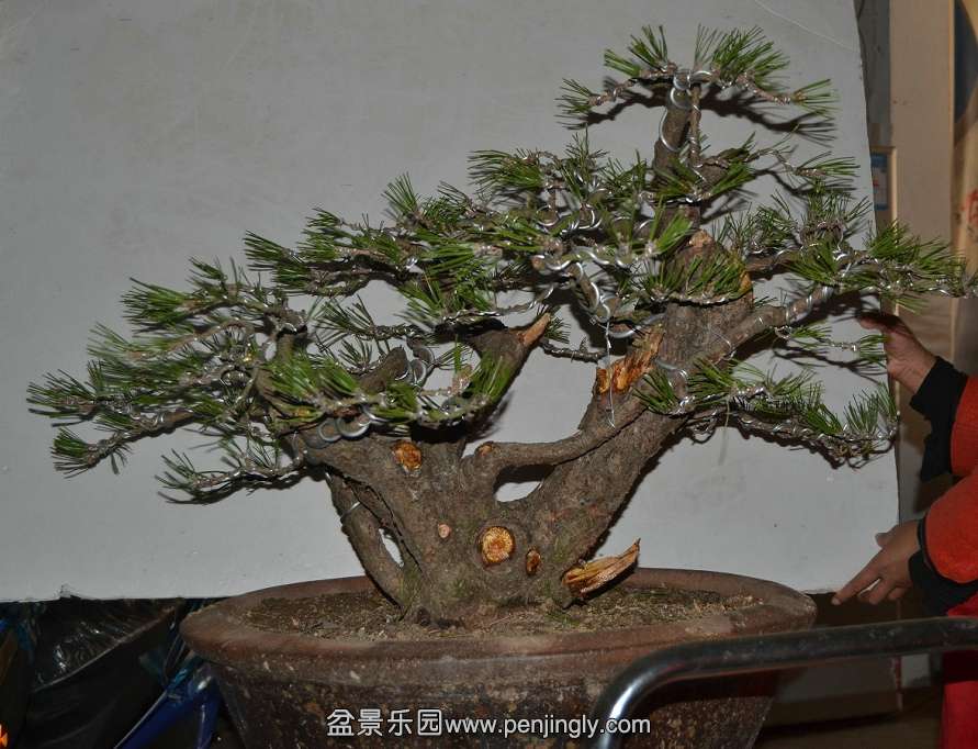 13-11-05���ɣ���ˣ� 009.jpg