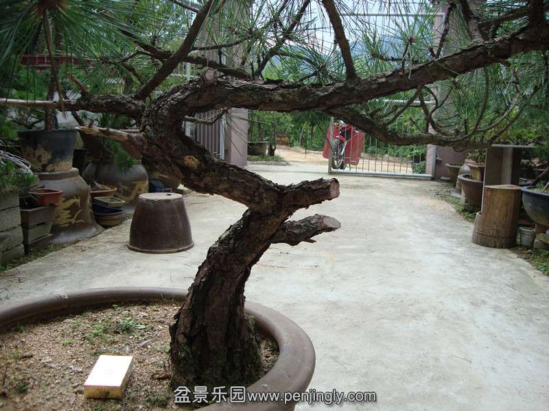 DSC01257_.jpg