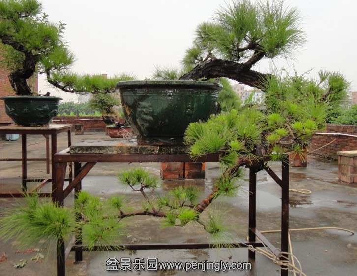 @7L582AH2EK9HUIR~XS3KOI.jpg