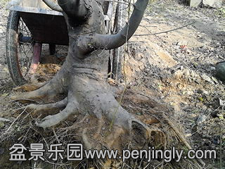 IMG_20131108_095515.jpg