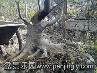 IMG_20131108_095444.jpg