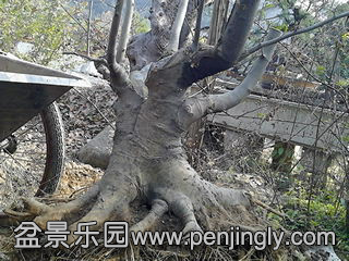 IMG_20131108_095500.jpg