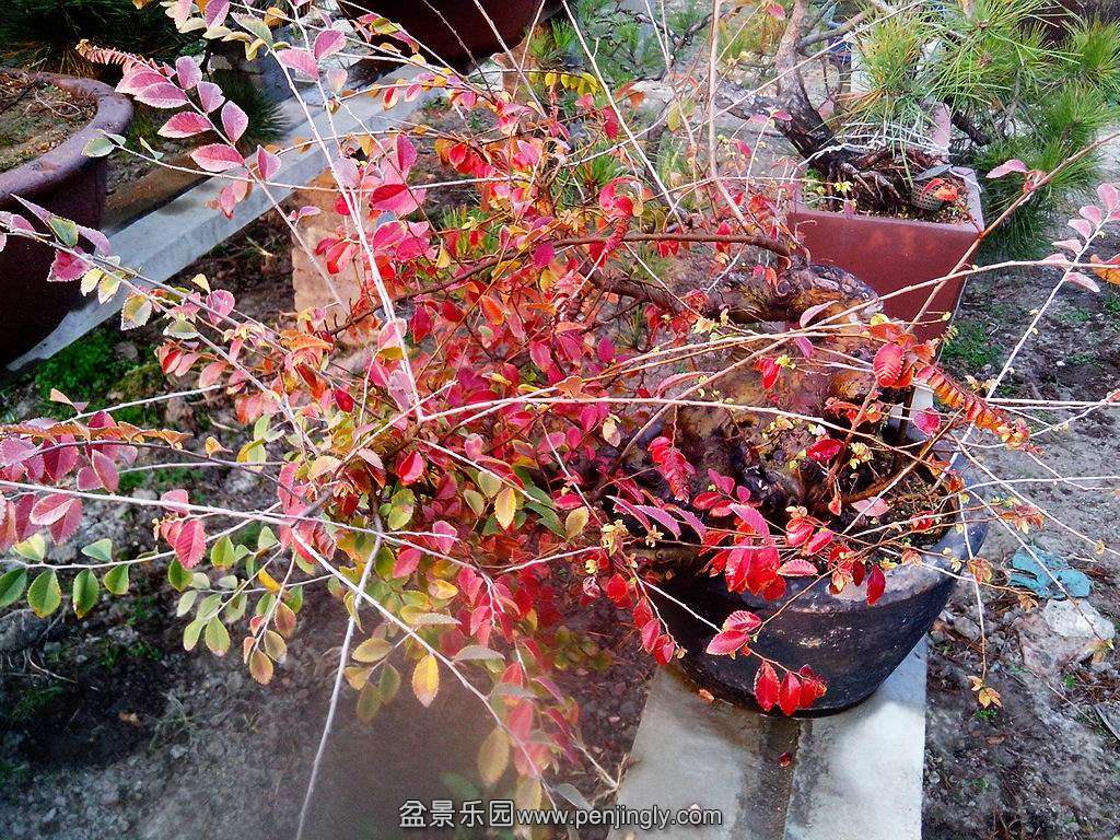 IMG_20131108_160624.jpg