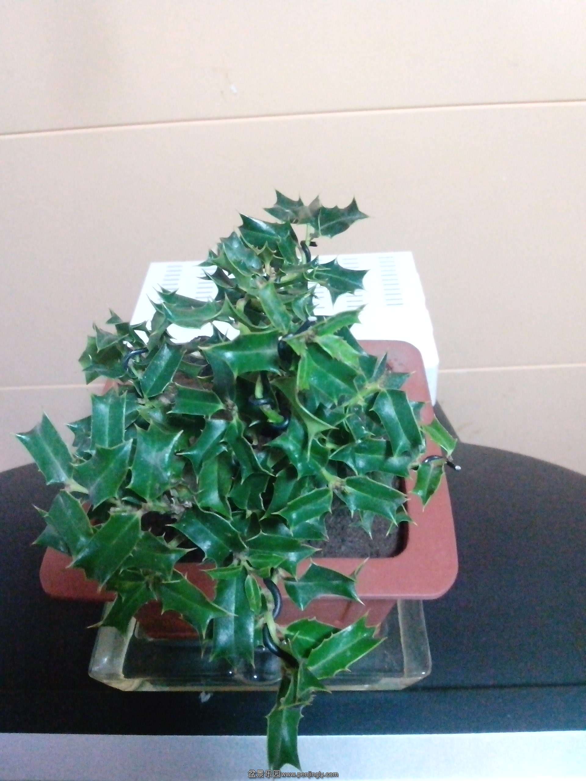 IMG_20131013_200724.jpg