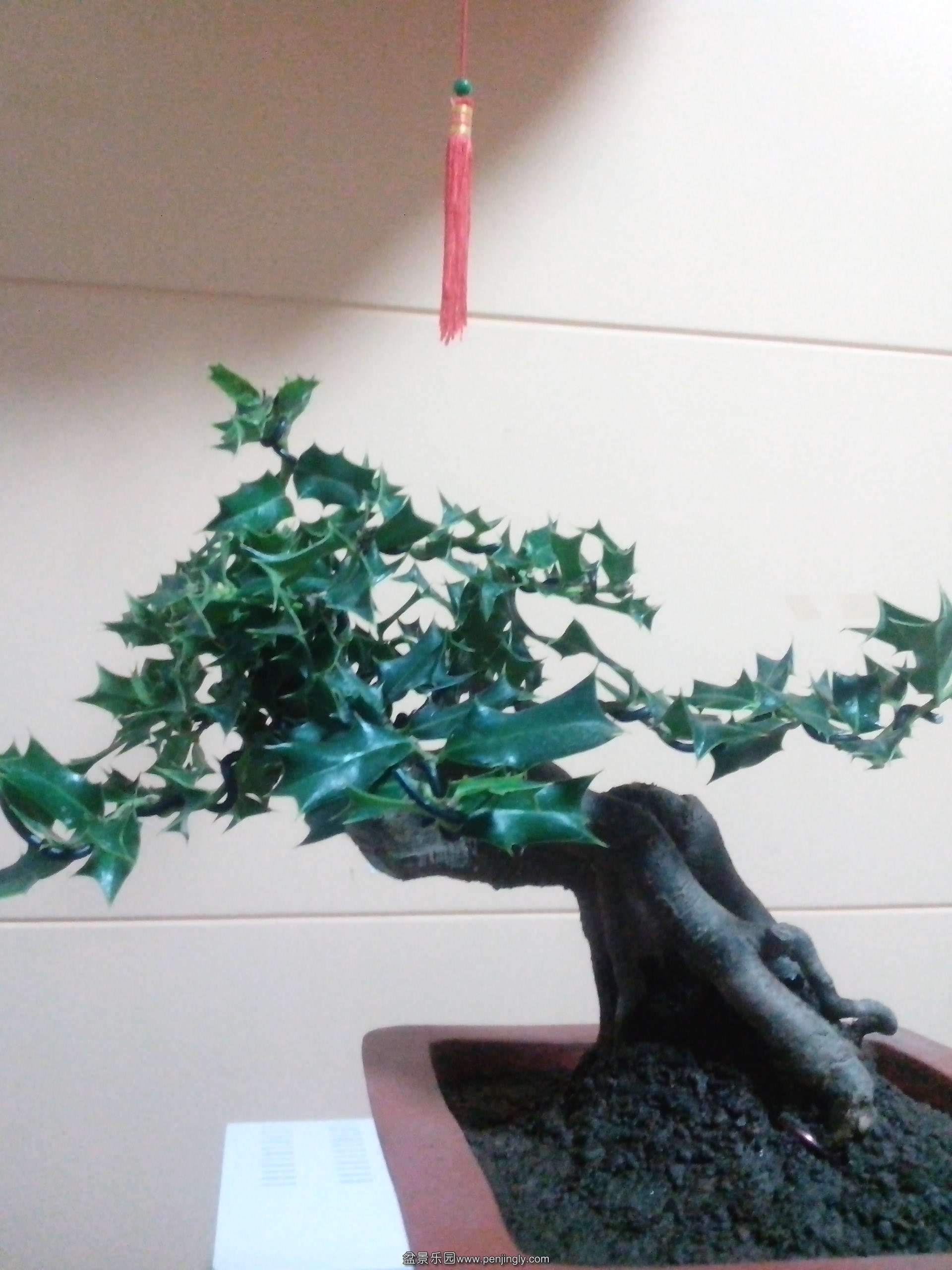 IMG_20131013_200451.jpg
