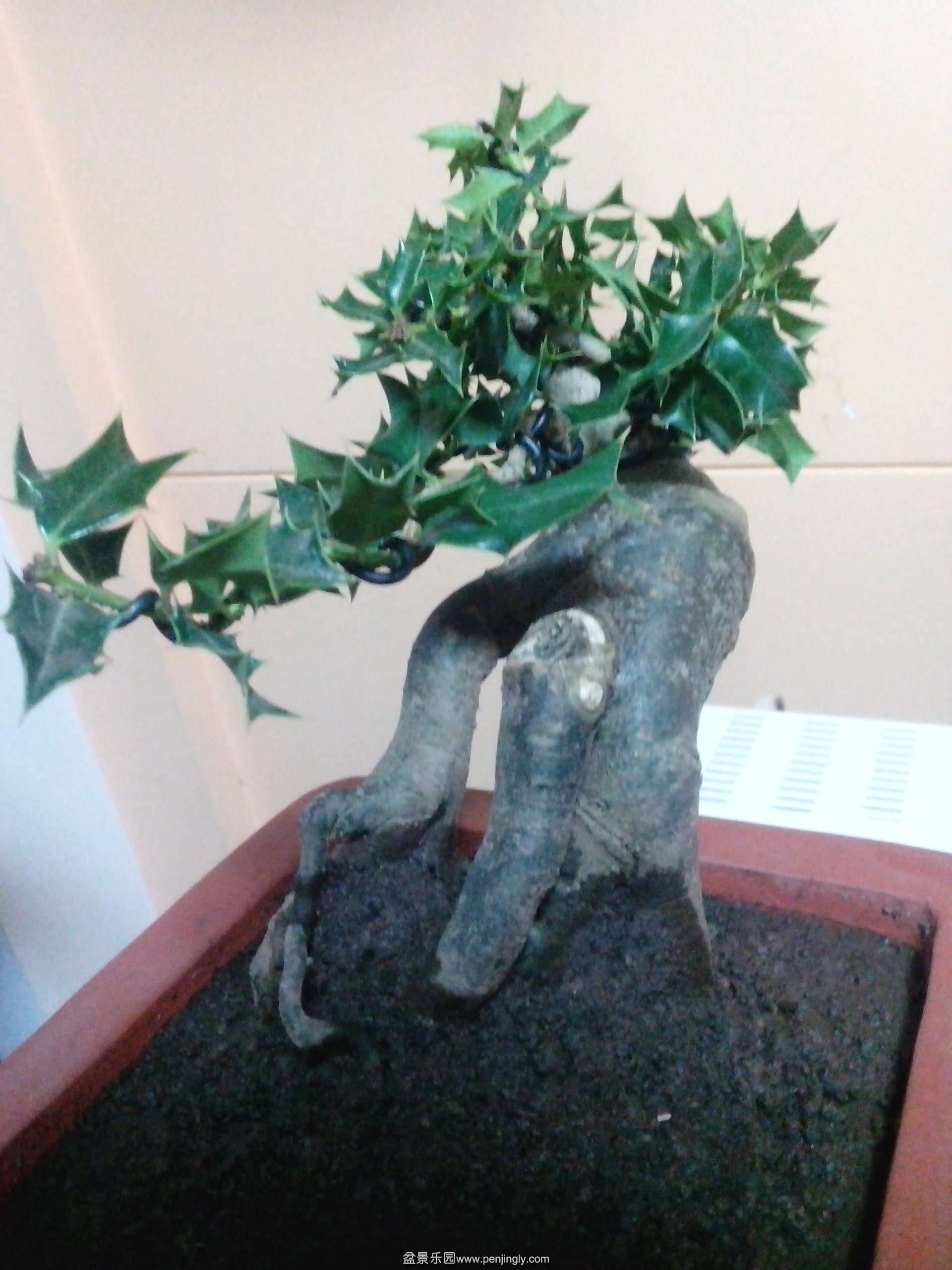 IMG_20131013_200647.jpg