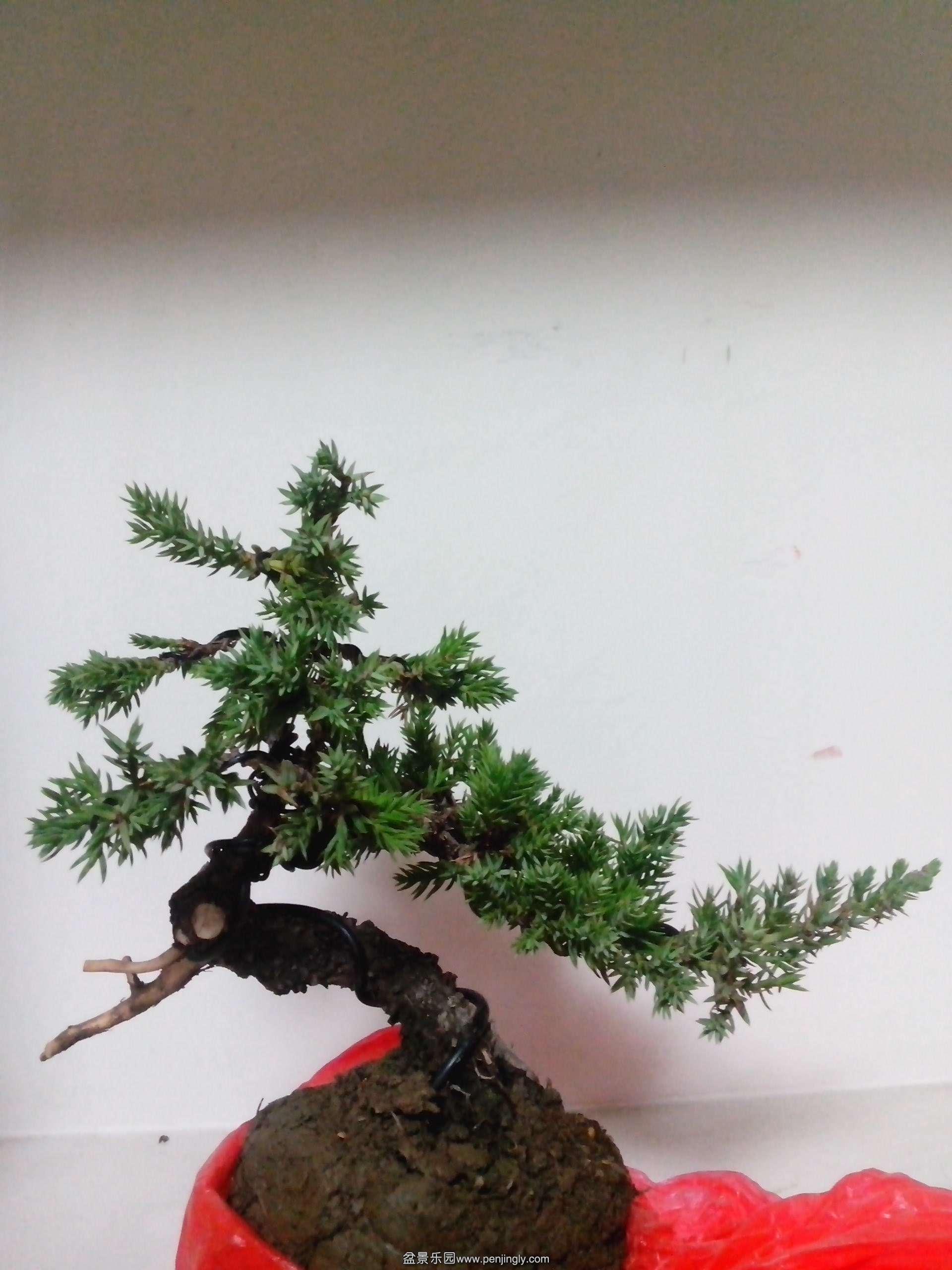 IMG_20131024_233216.jpg
