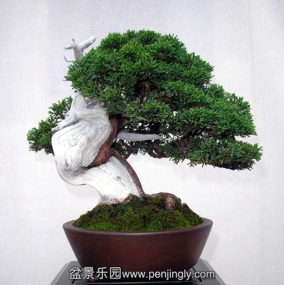 BCD Ratingen 01-10-2011 036.jpg