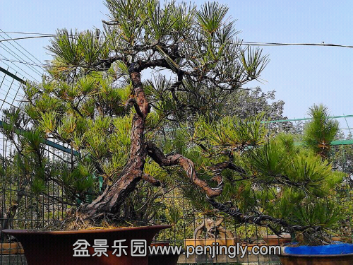 UC_Photo_003.jpg