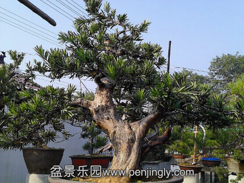 UC_Photo_006.jpg