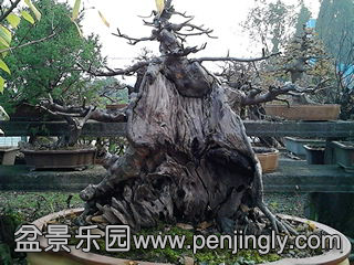 IMG_20131109_162534.jpg