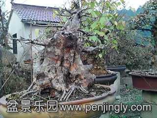 IMG_20131109_162549.jpg