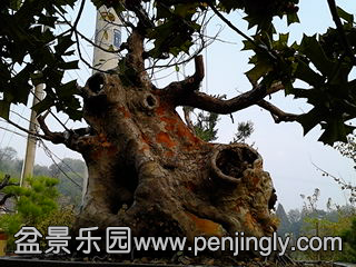 IMG_20131109_161048.jpg