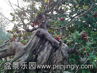 IMG_20131109_161011.jpg