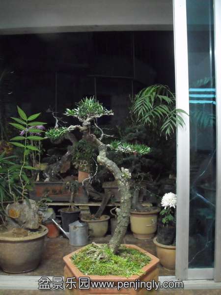 DSCF3001.jpg