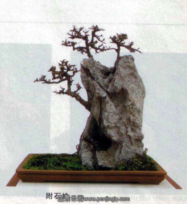 -ʯ-07-5.jpg