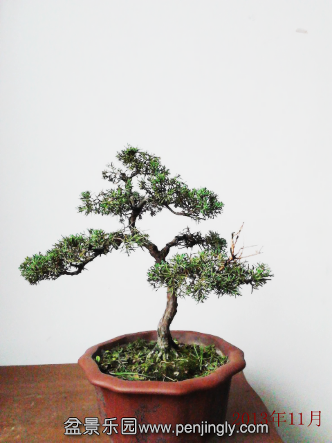 IMG_20131109_1_.png