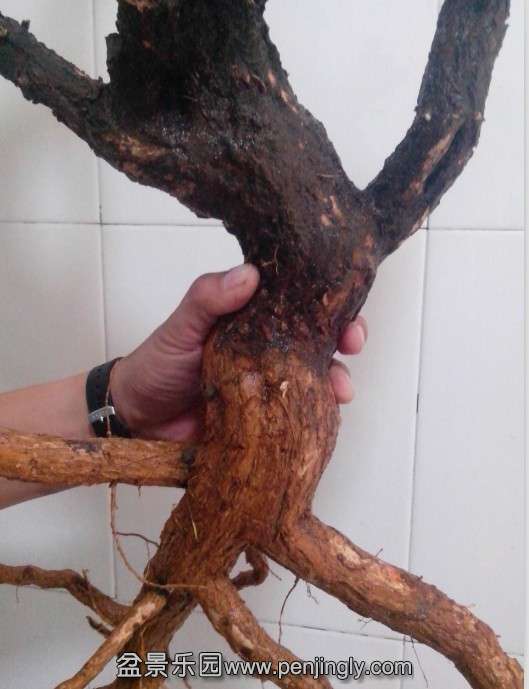 QQͼƬ20131110230521.jpg