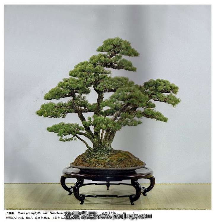 20081017_8f9061bd8a76f5c1fe7bic86GEnDL7Mn.JPG