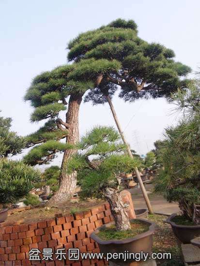 201011395116276.jpg