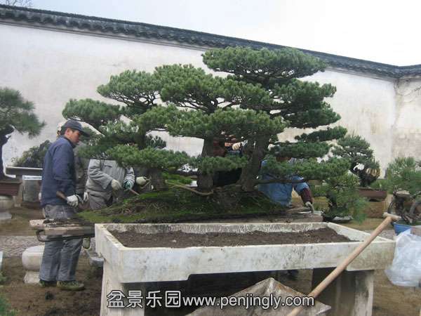 201032511165211.jpg