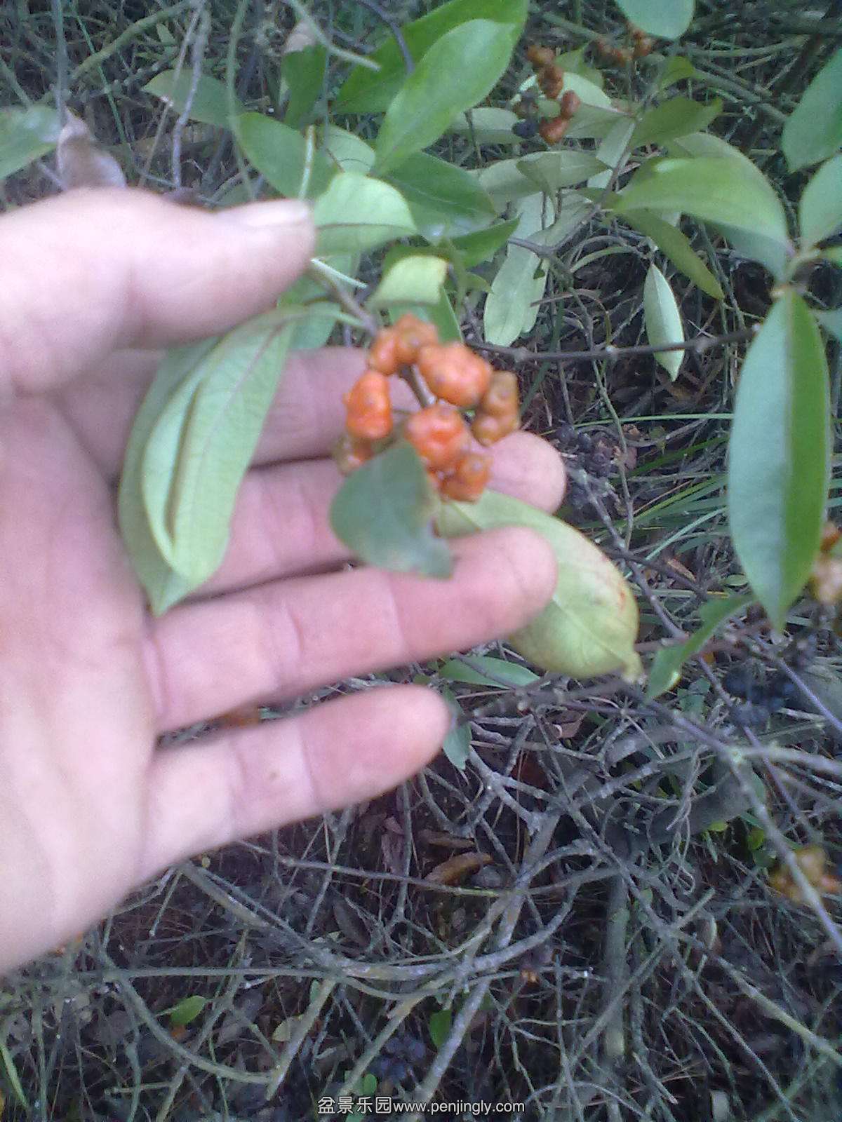 20131111172.jpg